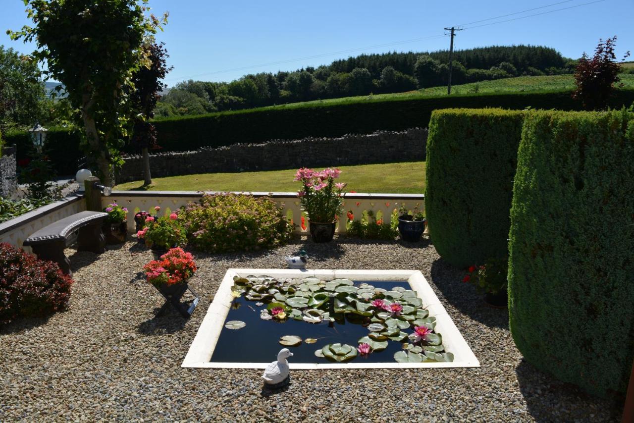 Weir View Bed And Breakfast Durrow Exterior foto